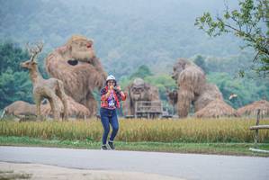 BIB: 
                            <button type="button" onclick="openModal(22304460)" class="btn btn-primary btn-sm float-right btn-popup" data-toggle="modal" data-target=".modal-high-quality">
                        <i class="fas fa-shopping-cart"></i> Add to Cart
                    </button>
                                            <button type="button" onclick="isThisMe(22304460, true)" class="btn btn-success btn-sm float-right btn-popup btn-isme hidden" data-toggle="tooltip" data-placement="bottom" title="นี่คือรูปของคุณใช่ไหม คลิกที่นี่เพื่อเอาเข้าอัลบั้ม">
                        <i class="fas fa-plus"></i> Add to album
                    </button>
                    <button type="button" onclick="isThisMe(22304460, false)" class="btn btn-warning btn-sm float-right btn-popup btn-isnotme hidden">
                        <i class="fas fa-ban"></i> Remove from album
                    </button>